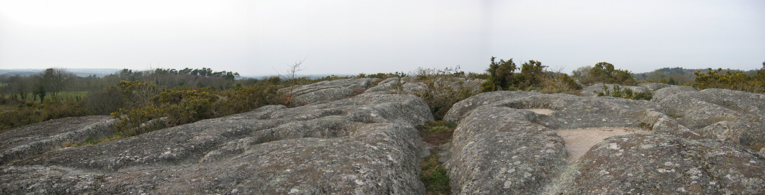 Panorama